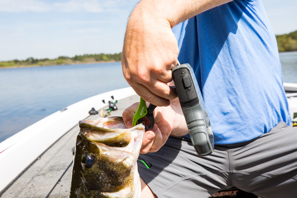 SPRO Digital Scale 65lbs – Hammonds Fishing