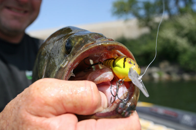 How to Get Sponsors for Bass Fishing  